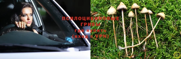 ПСИЛОЦИБИНОВЫЕ ГРИБЫ Бердск