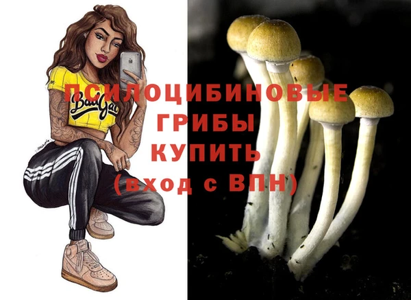 apvp Балахна
