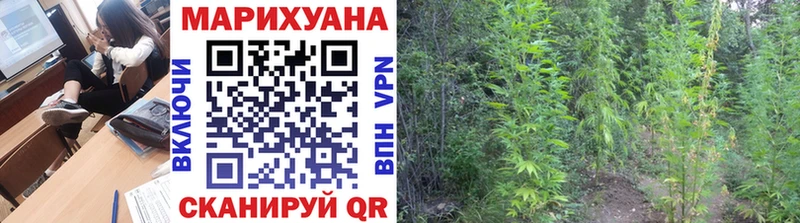 Конопля план Жуков